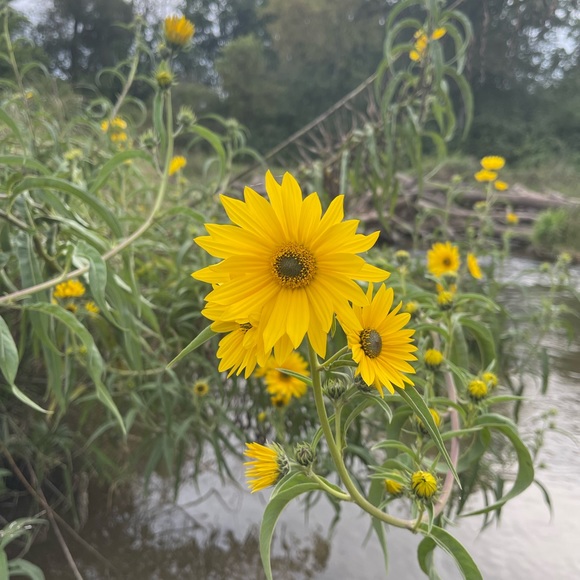 Meet your Posher, Erin - Picture 2 of 12